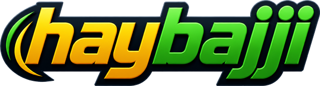haybajji logo